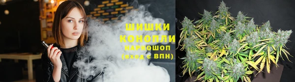 соль курить ск Бородино
