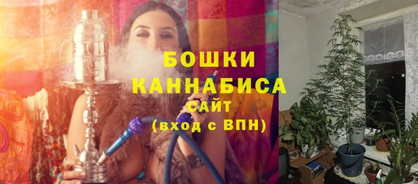 стаф Богородицк